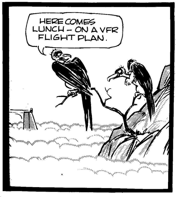 Lunch on a VFR Flightplan